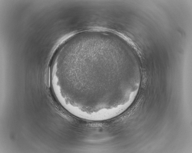 X0000115061223200912071144