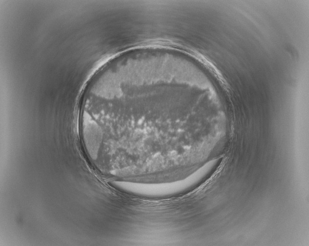 X0000115061224200912071144