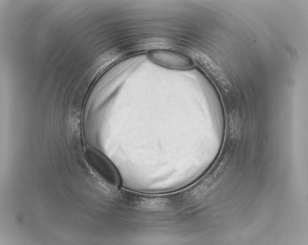 X0000115061225200912071144