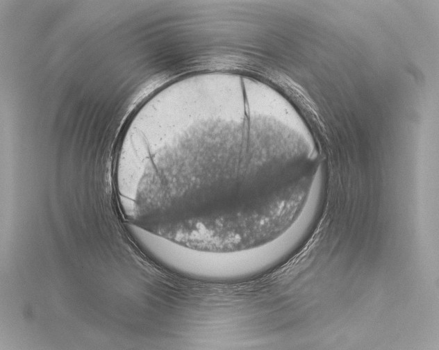 X0000115061226200912071144