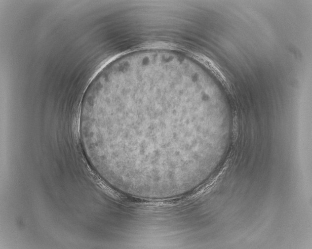 X0000115061228200912071144