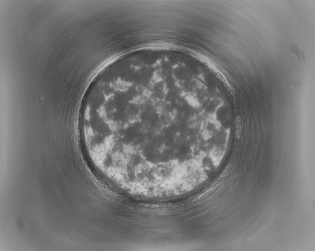 X0000115061229200912071144