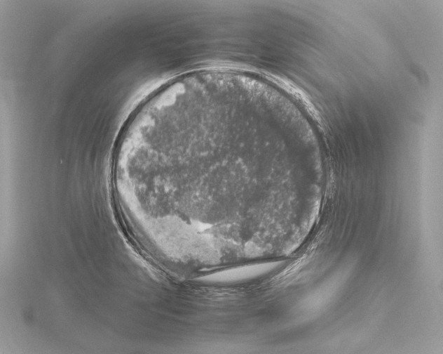 X0000115061231200912071144