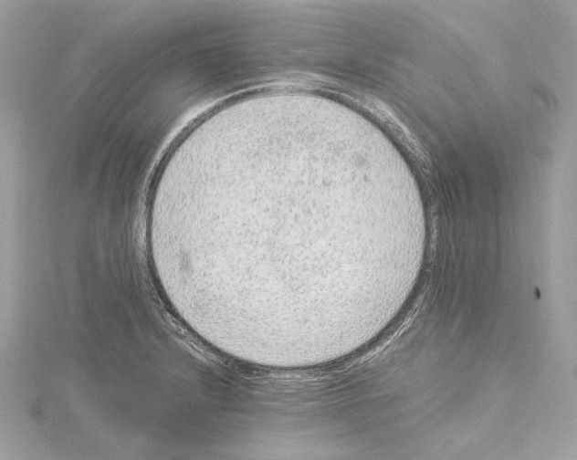 X0000115061232200912071144