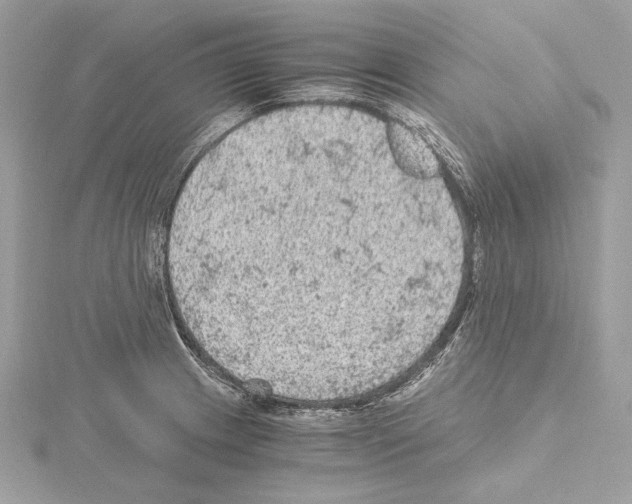 X0000115061233200912071144