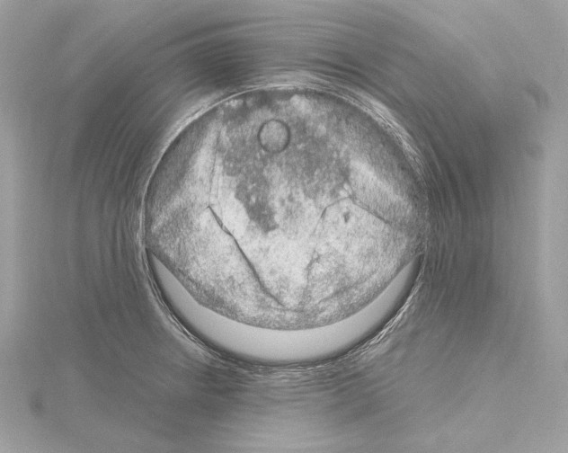 X0000115061234200912071145