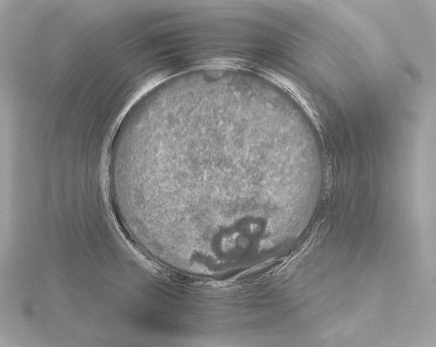 X0000115061235200912071145