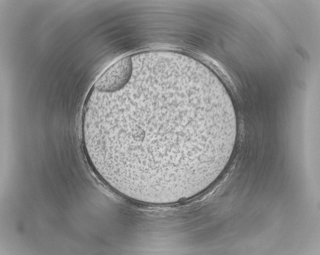 X0000115061236200912071145