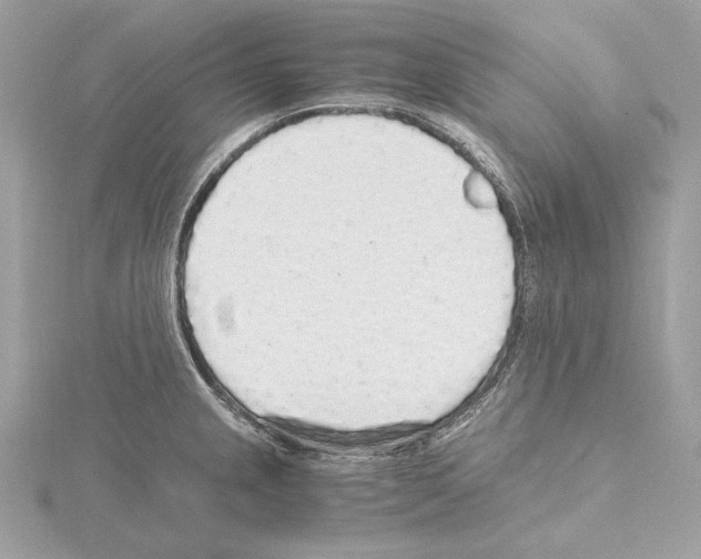 X0000115061237200912071145