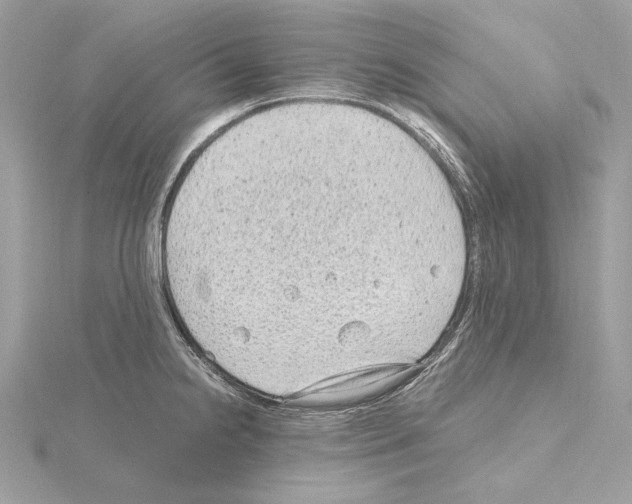 X0000115061238200912071145