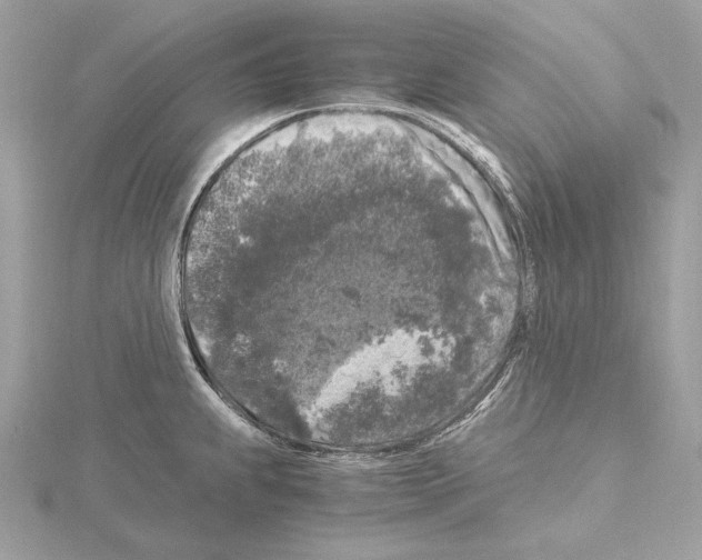 X0000115061239200912071145