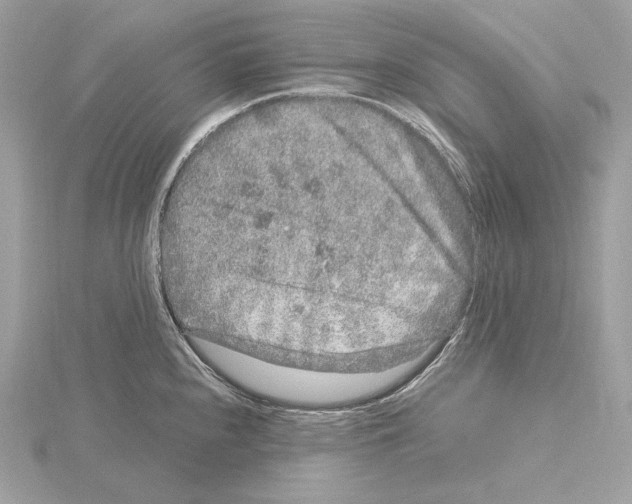 X0000115061240200912071145