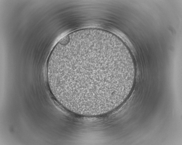 X0000115061242200912071145