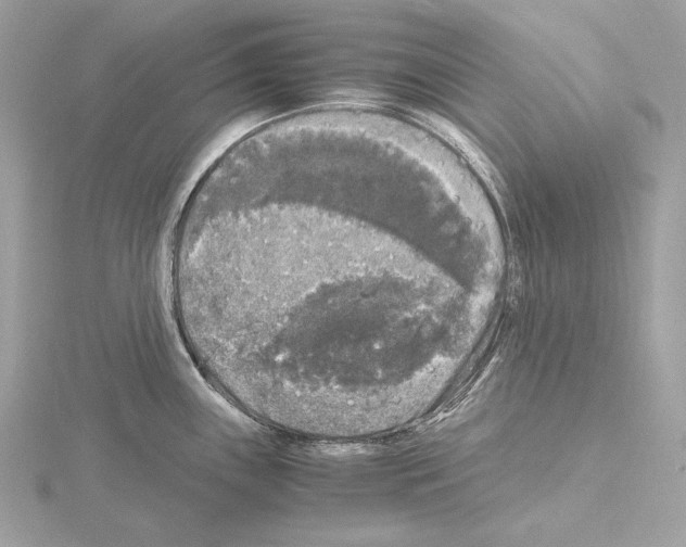 X0000115061243200912071145