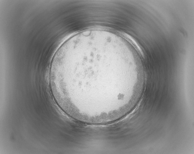 X0000115061244200912071145