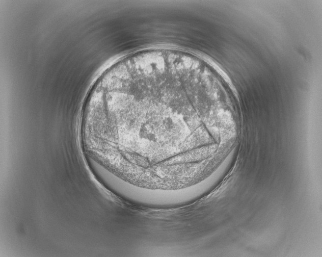 X0000115061245200912071145