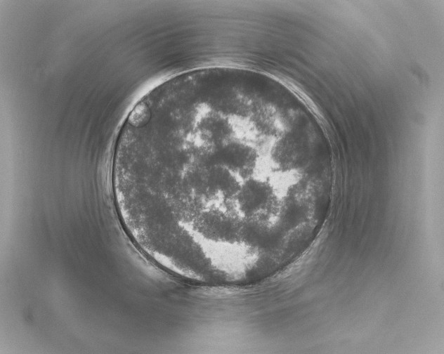 X0000115061246200912071145