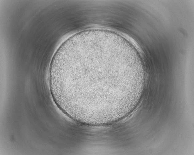 X0000115061247200912071145