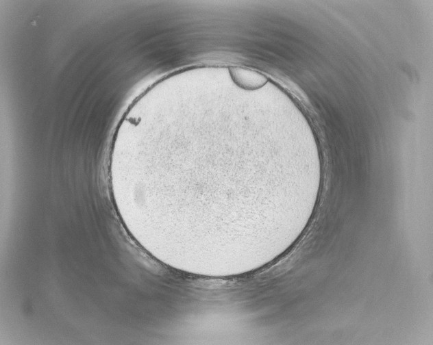 X0000115061248200912071145