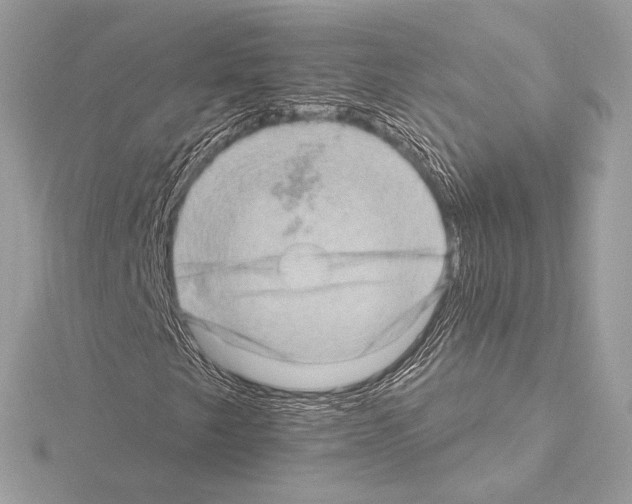 X0000115061249200912071144