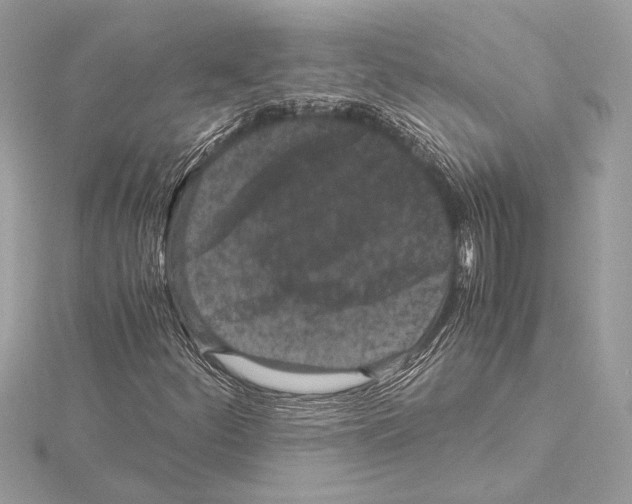 X0000115061252200912071144