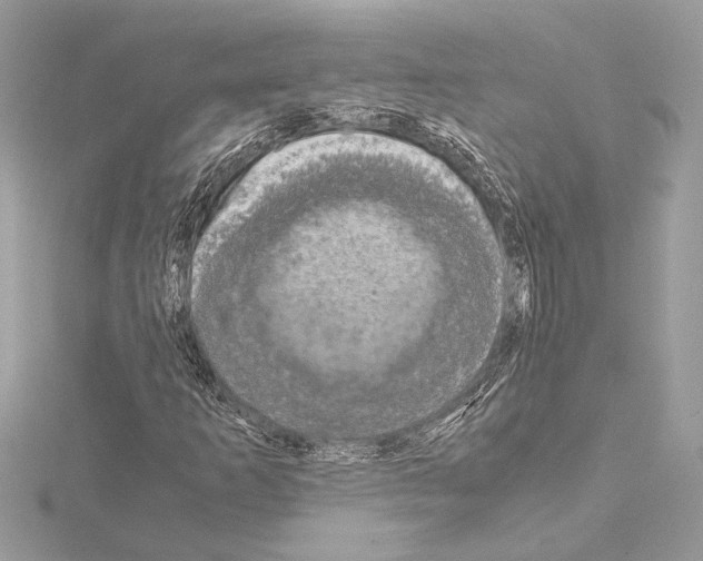 X0000115061253200912071144