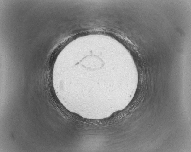 X0000115061255200912071144