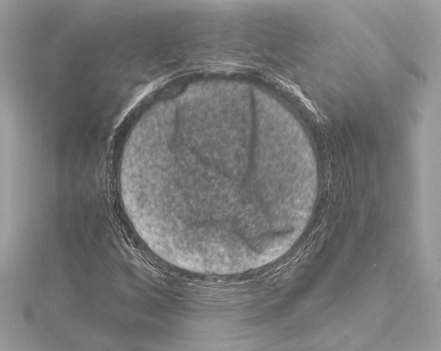 X0000115061256200912071144