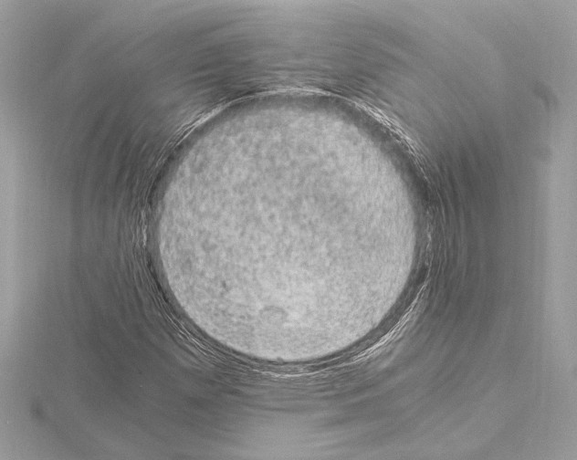 X0000115061257200912071144