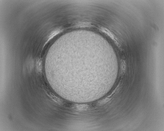 X0000115061258200912071144