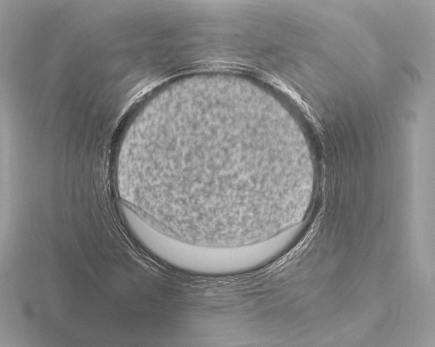 X0000115061259200912071144