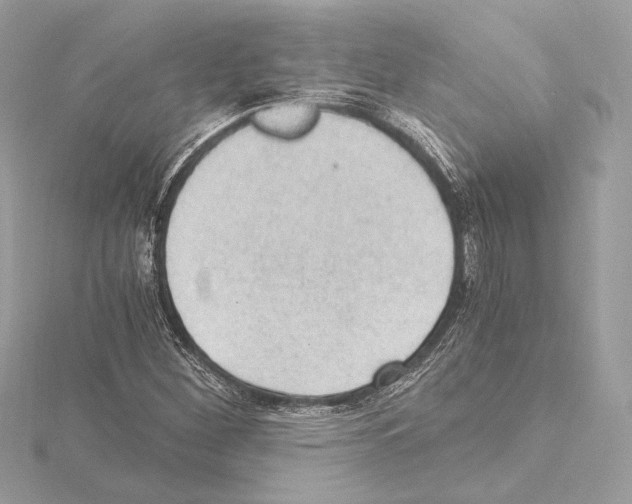 X0000115061260200912071144