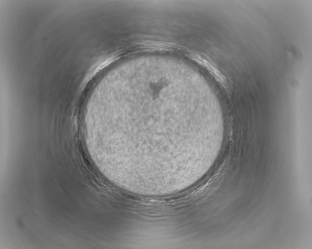 X0000115061261200912071144