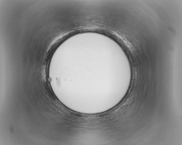 X0000115061262200912071144