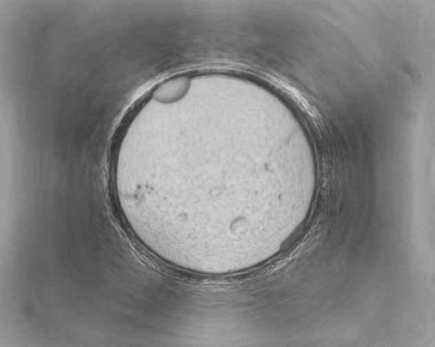 X0000115061264200912071144