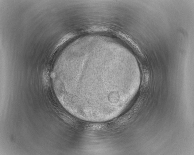 X0000115061266200912071144