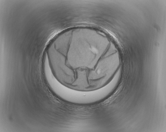 X0000115061267200912071144