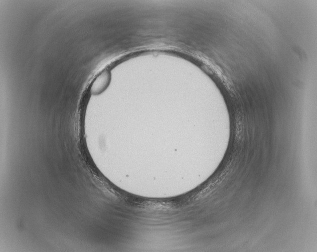 X0000115061270200912071144