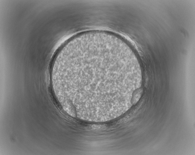 X0000115061271200912071144