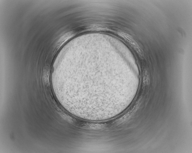 X0000115061273200912071144