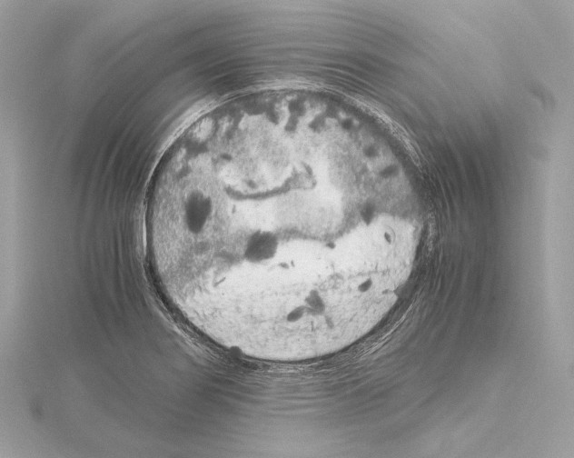 X0000115061274200912071144