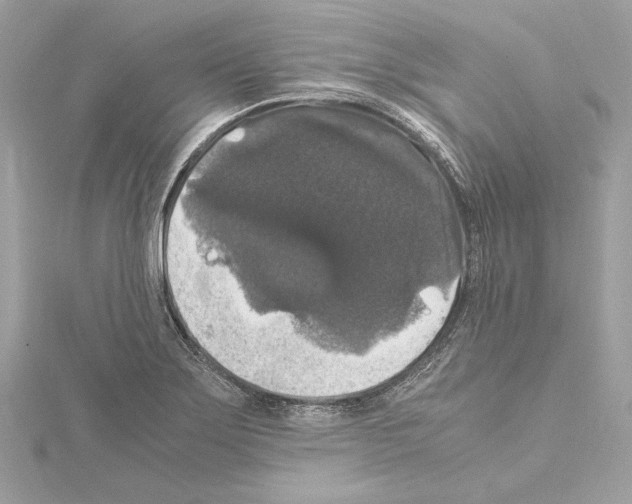 X0000115061275200912071144