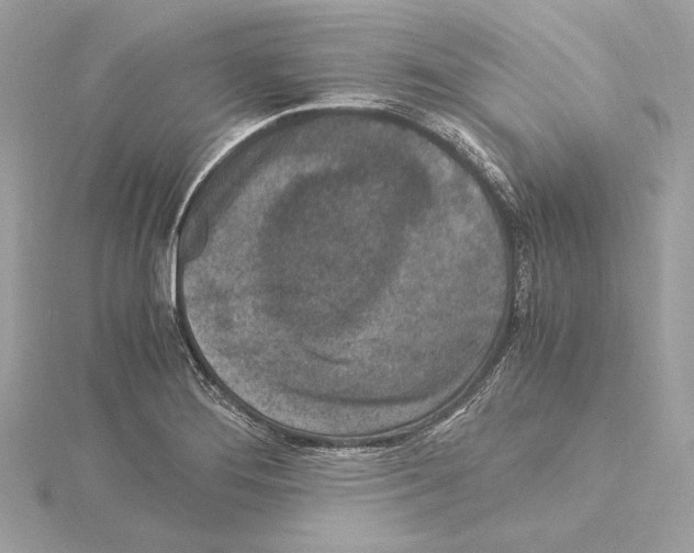 X0000115061276200912071144