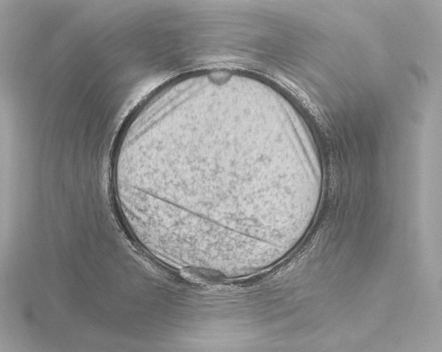 X0000115061277200912071144