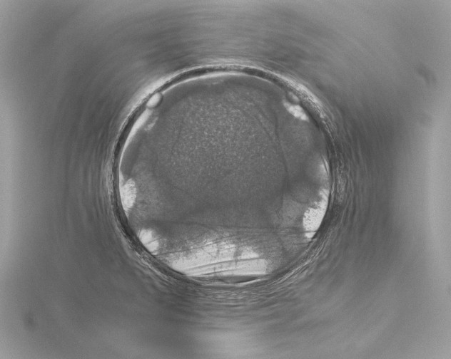 X0000115061279200912071144