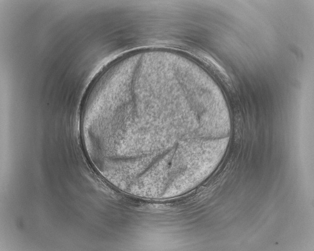 X0000115061280200912071144