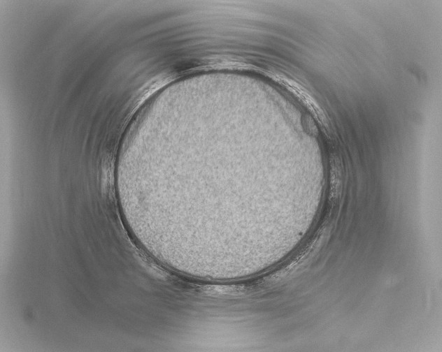 X0000115061281200912071143