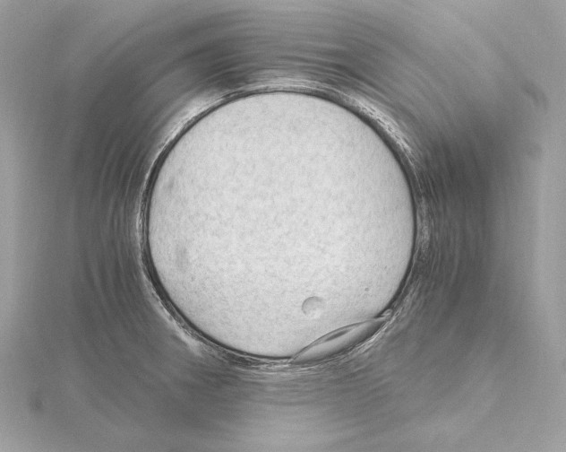 X0000115061282200912071143