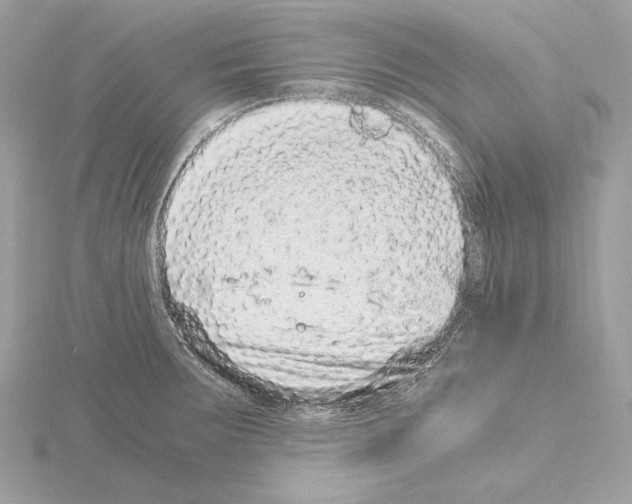 X0000115061283200912071143