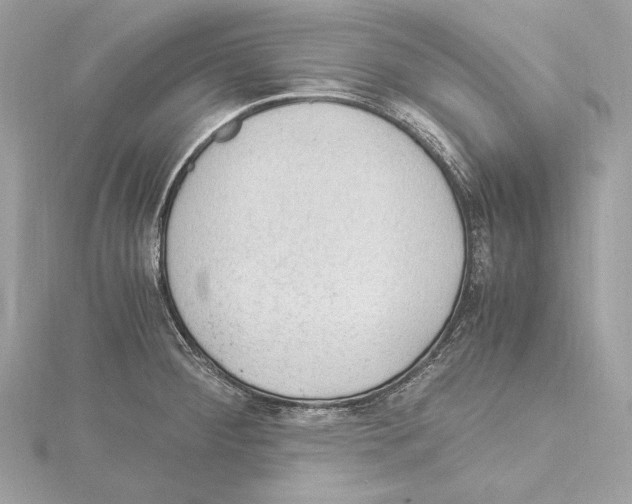 X0000115061284200912071143